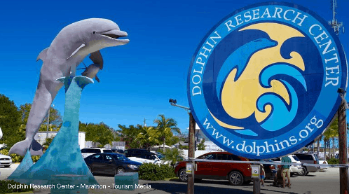 Dolphin Research Center in Marathon, Florida - A Marine Wonderland for the Whole Family