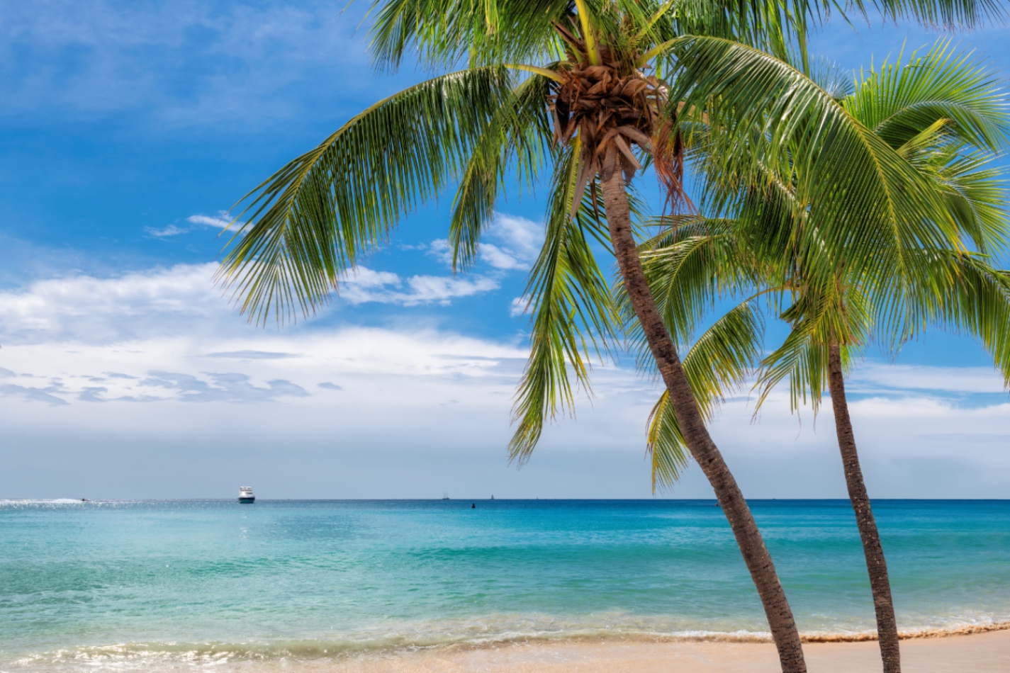 Why Staying in the U.S. — and Choosing the Florida Keys — is the Smartest Vacation Choice Right Now