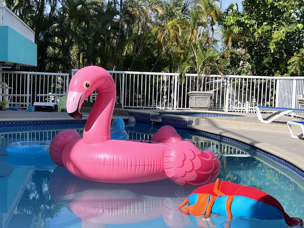 Pool Toys and Pool Accessories in Florida Keys. FloridaKeysVillas.com