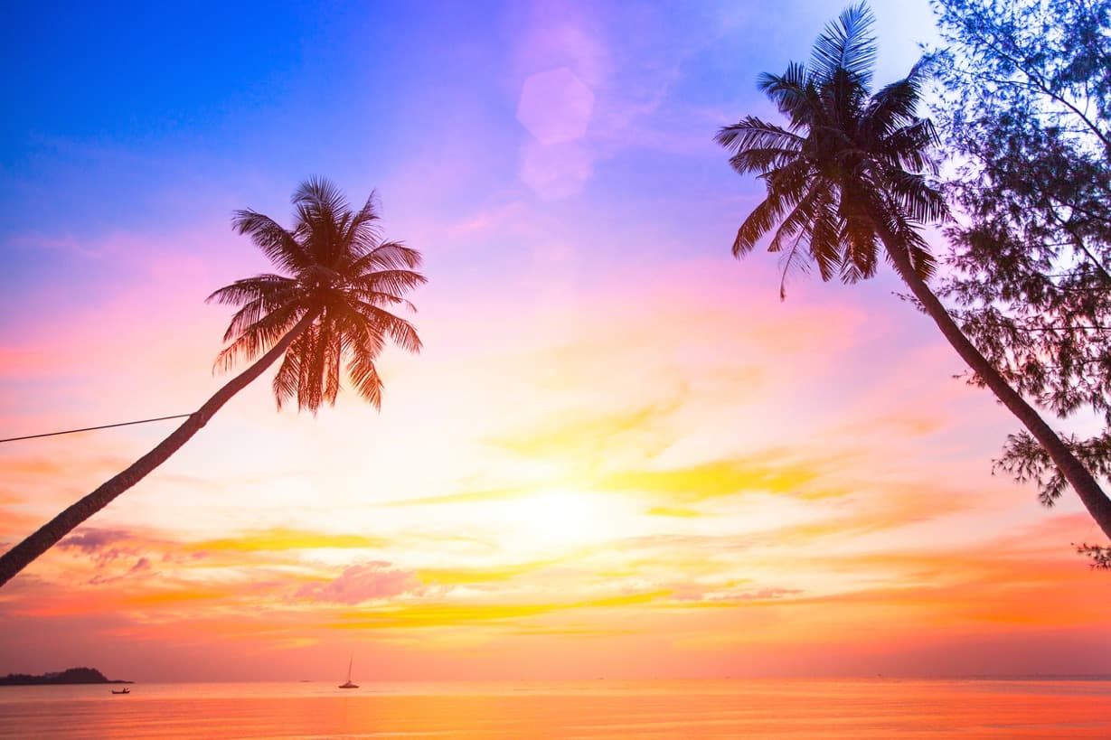 Embracing the Influence of Colors in the Florida Keys Image