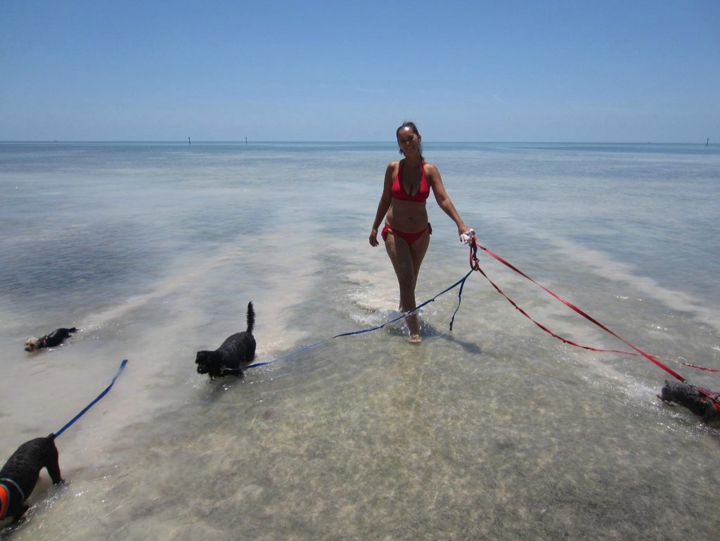Sombrero Beach is dog friendly in Marathon Florida. FloridaKeysVillas.com