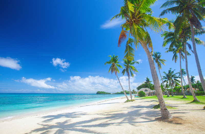 Beach White Sand and Palm Trees.
Places to stay in Marathon FL 
FloridaKeysVillas.com
