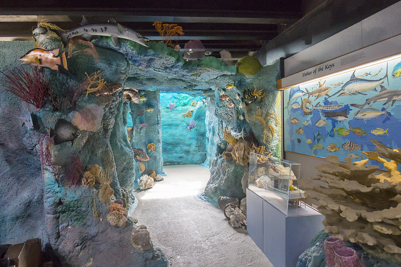 Crane Point Hammock nature trails and historic site in Marathon Florida. Fish Display and History. FloridaKeysVillas.com