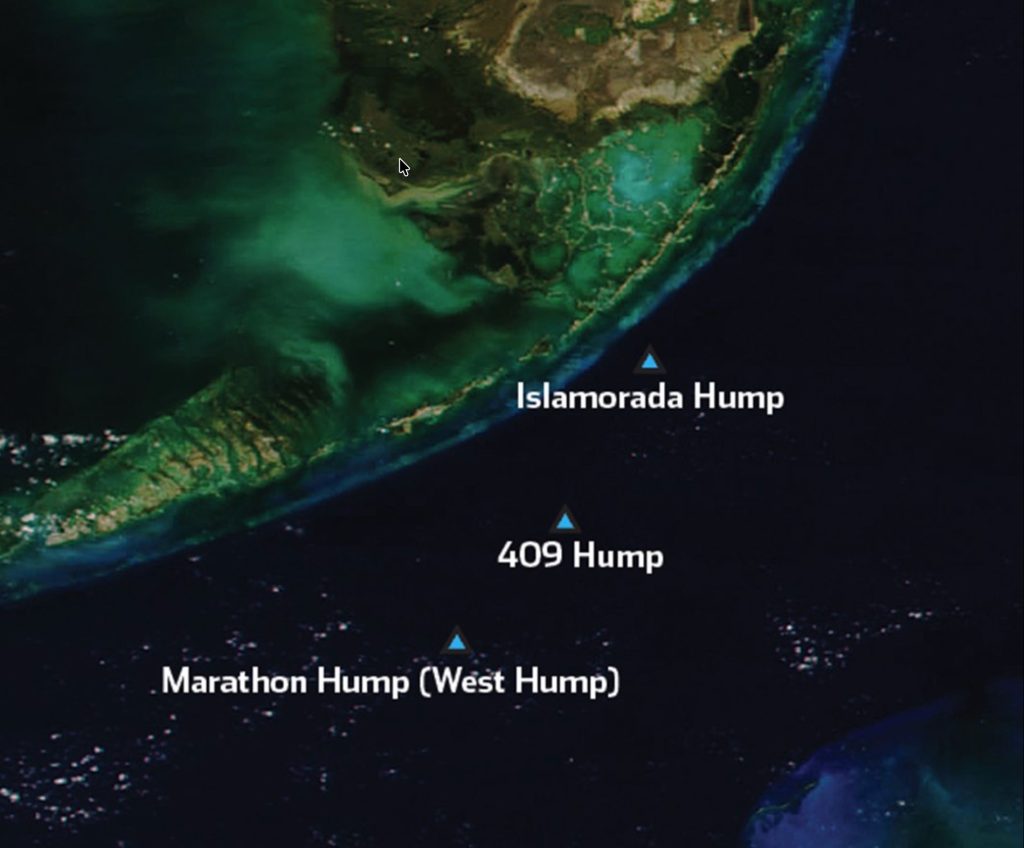 Deep sea Fishing Florida Keys Humps. FloridaKeysVillas.com