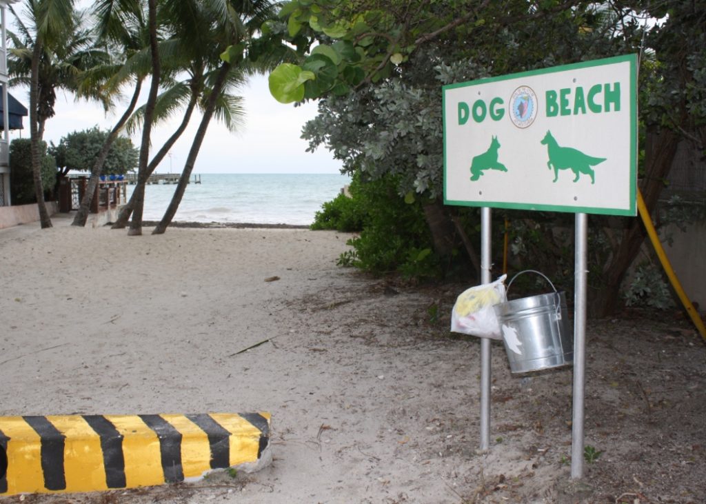 Dog Beach Key West Florida small rocky beach dogs swimming. FloridaKeysVillas.com
