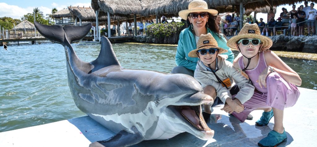 Dolphin Research Center Marathon FL – Family Attraction | FloridaKeysVillas.com