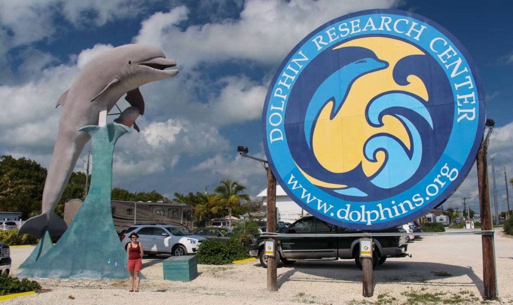 Dolphin Research Center in Marathon Florida | Family Fun | FloridaKeysVillas.com