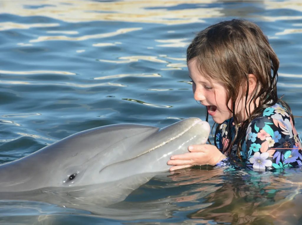 Visit Dolphin Research Center in Marathon Florida | FloridaKeysVillas.com