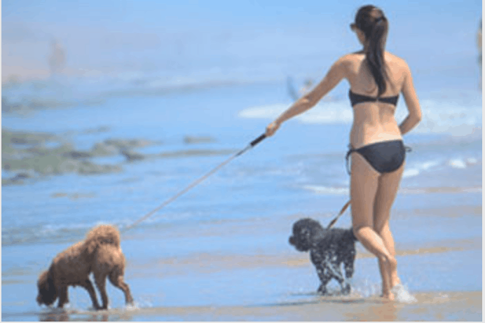 Experience Island Time: Pet-Friendly Vacation Rentals with Private Pools Near Sombrero Beach in the Florida Keys Image