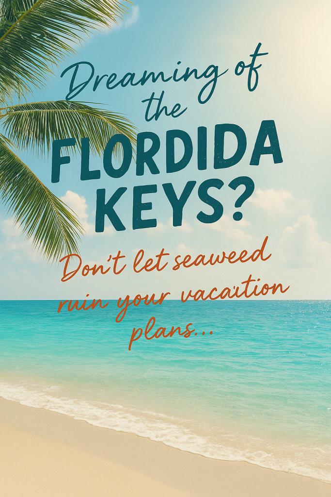 Dreaming of the Florida Keys Don't let Seaweed ruin your vacation plans. Book on FloridaKeysVillas.com