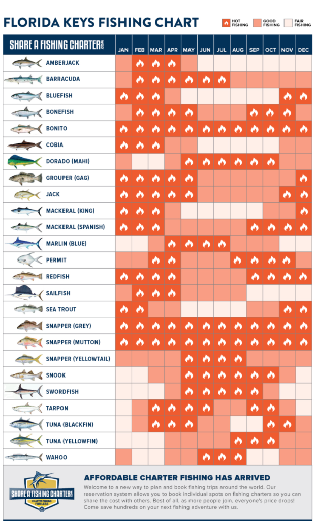 Florida Keys Fishing Chart What fish you can find by the month or season in the Florida Keys. FloridaKeysVillas.com