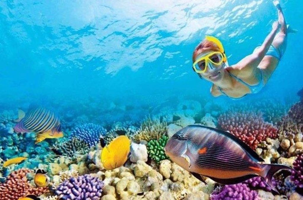 Snorkeling in Marathon Florida
Things to do in Marathon FL
FloridaKeysVillas.com