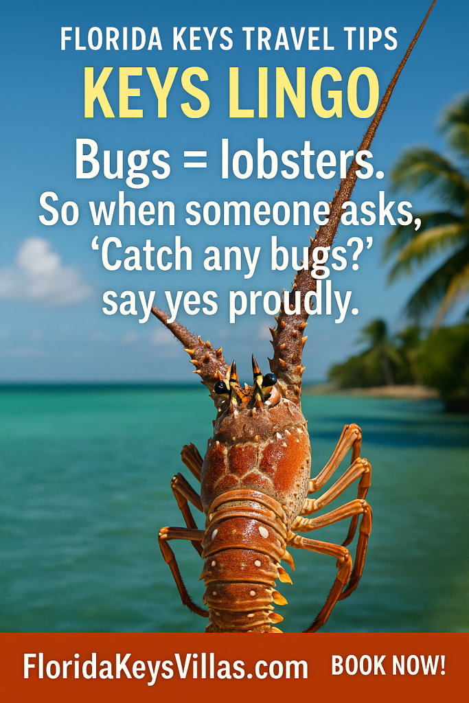 Florida Keys Travel Tips Keys Lingo Lobsters are called Bugs. FloridaKeysVillas.com