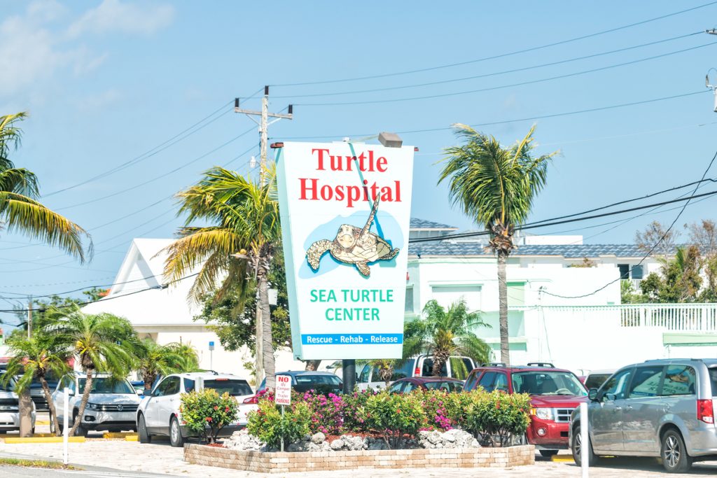 Marathon, USA - May 1, 2018: Turtle Hospital, Sea Turtle, clinic on overseas highway road, street, US1 route with cars, parking lot in Florida Keys. FloridaKeysVillas.com