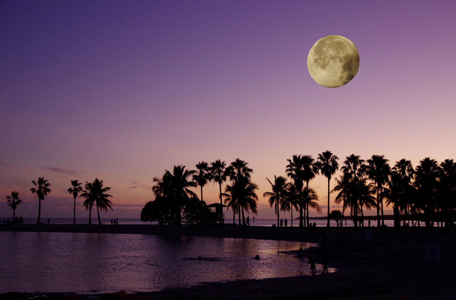Tropical Full Moon over Beach and Palm Trees in the Florida Keys. FloridaKeysVillas.com