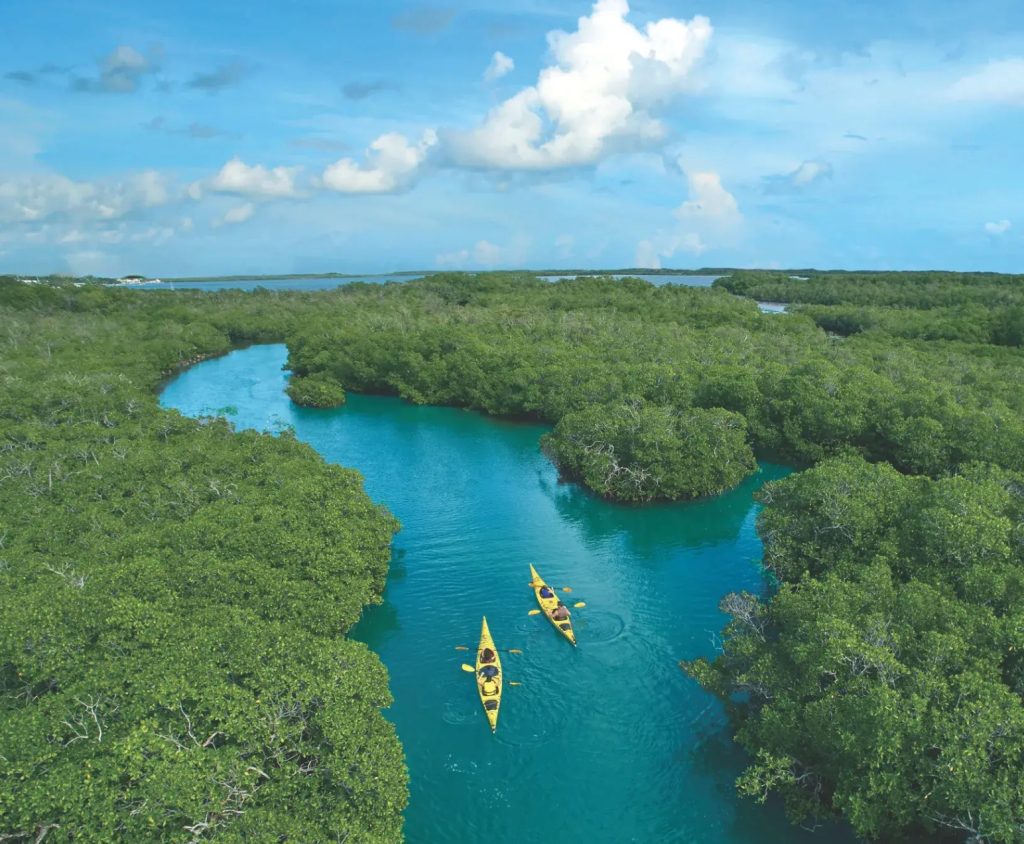 Eco friendly kayaking tour through mangrove forest in the Florida Keys near Marathon Florida.  FloridaKeysVillas.com
