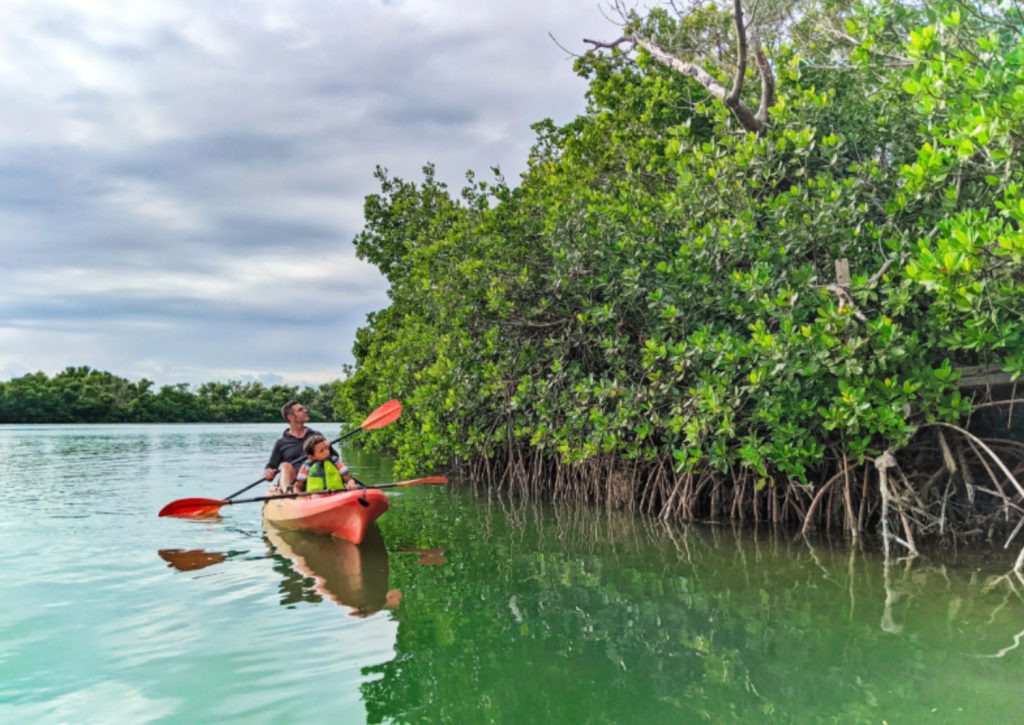 Kayaking and Paddleboarding in the Florida Keys. FloridaKeysVillas.com