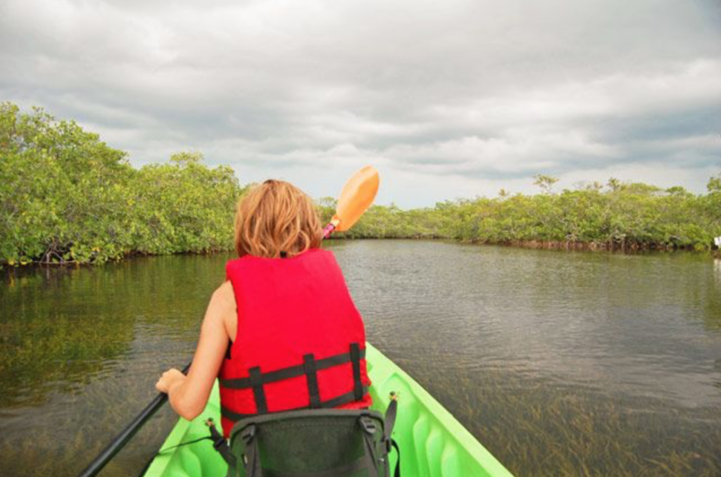 Kayak eco tour through mangrove forest in Key West Florida. FloridaKeysVillas.com
