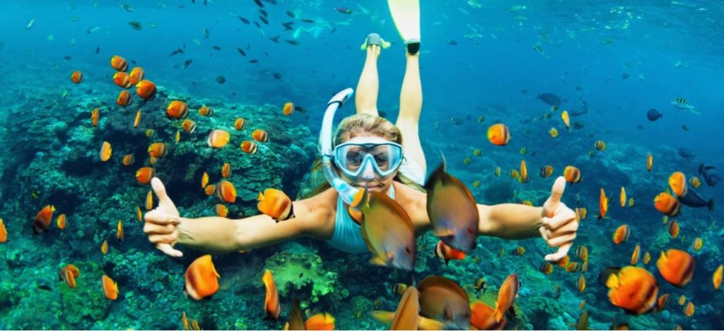 Snorkeling in Sombrero Reef in Marathon Florida. FloridaKeysVillas.com