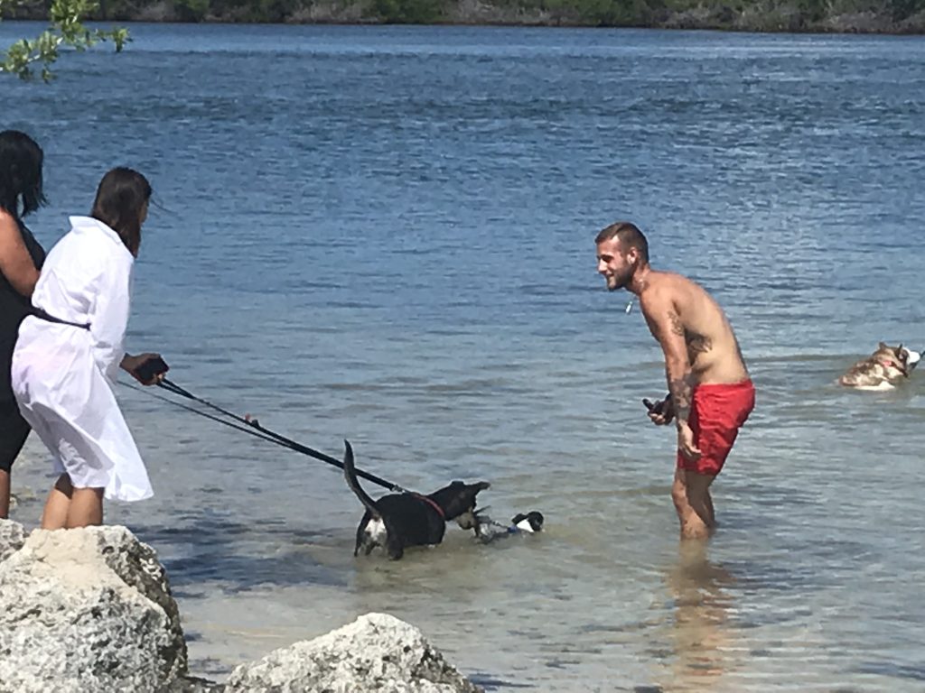 Sombrero Beach is Dog friendly beach. FloridaKeysVillas.com