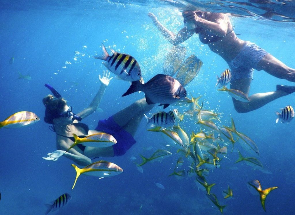 Snorkeling coral reef at John Pennekamp State Park Florida Keys. FloridaKeysVillas.com