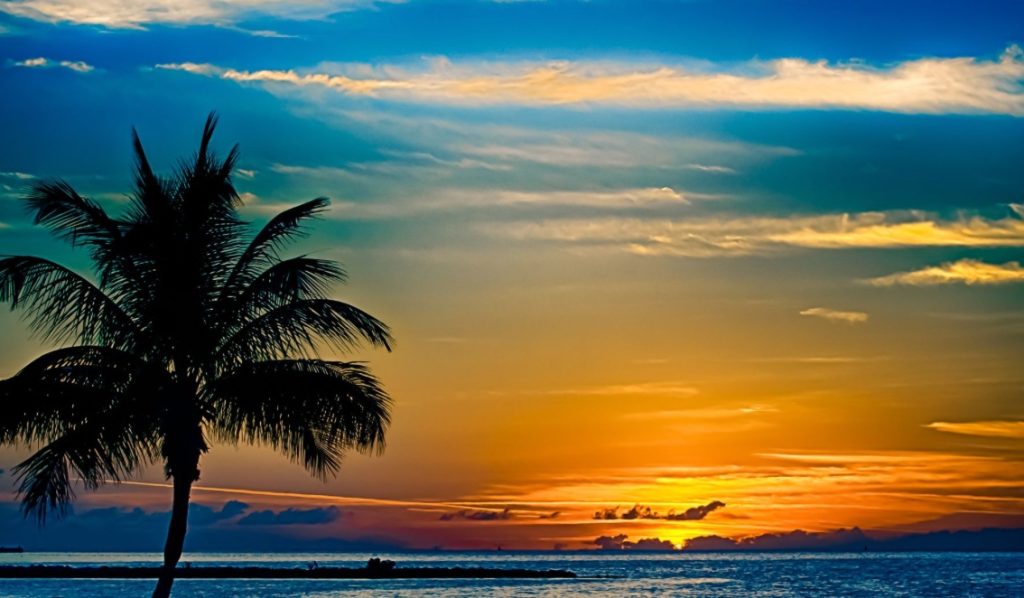 Unwind and Explore the Florida Keys | Marathon Florida Vacation Homes. Sombrero Beach sunrise with palm trees and turquoise water in Marathon Florida Keys. FloridaKeysVillas.com
