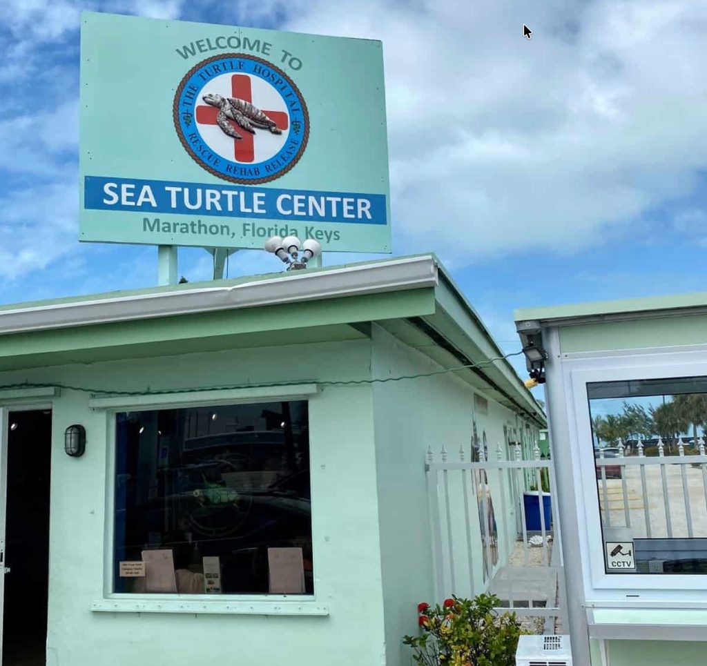 Visit the Turtle Hospital in Marathon Florida.
Book a Vacation Rental in Marathon Florida. FloridaKeysVillas.com