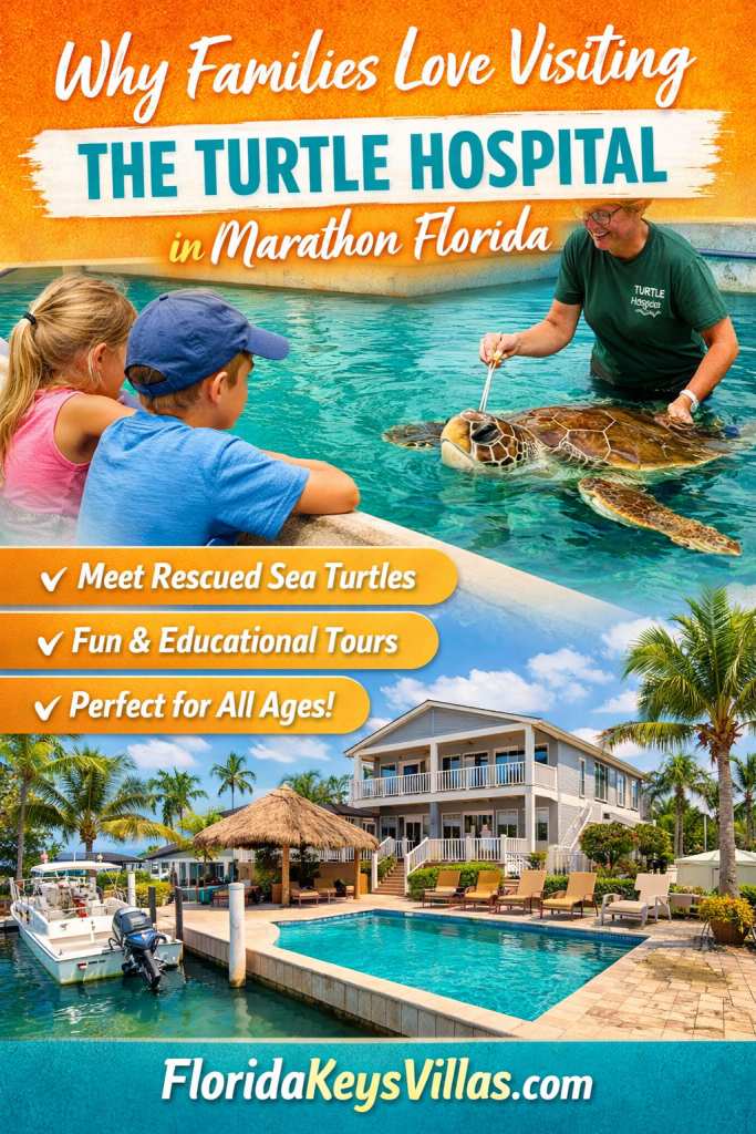 Why Families Lover Visiting The Turtle Hospital in Marathon Florida. FloridaKeysVillas.com