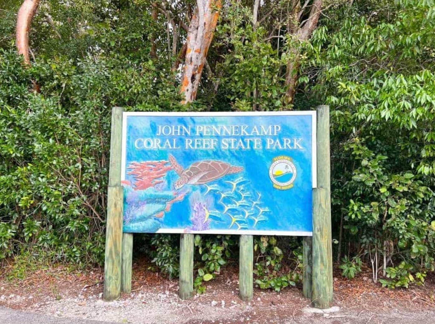 Eco-Friendly Tours and Sustainable Adventures in the Florida Keys Image