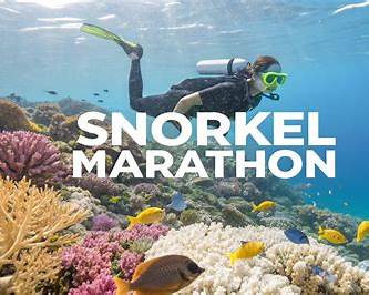 Snorkel in Marathon Florida.
FloridaKeysVillas.com