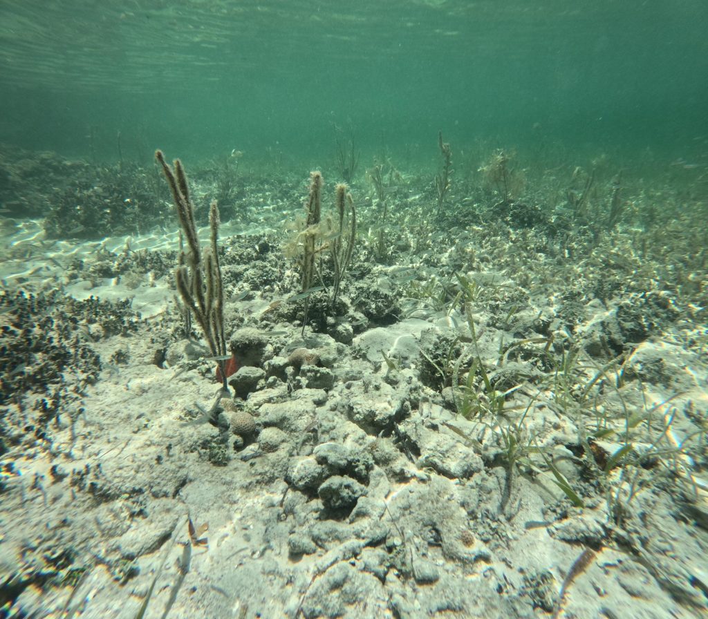 Offshore water depth near Marathon Florida reef line. FloridaKeysVillas.com