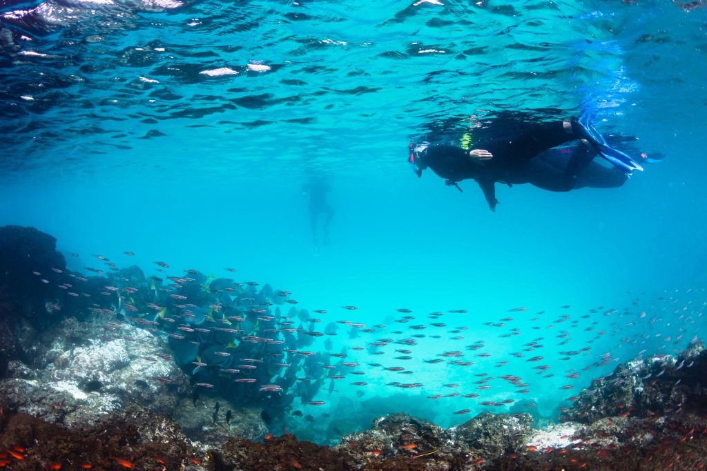 Snorkeling near shore at Sombrero Beach Florida Keys. FloridaKeysVillas.com