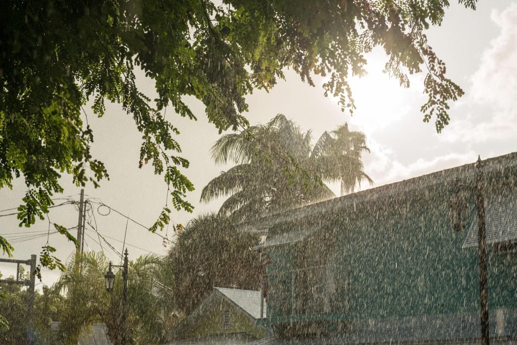 Marathon Florida summer rain over palm trees. FloridaKeysVillas.com