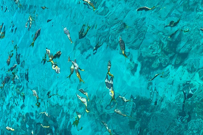 Clear Water Snorkeling near Bahia Honda State Park. FloridaKeysVillas.com