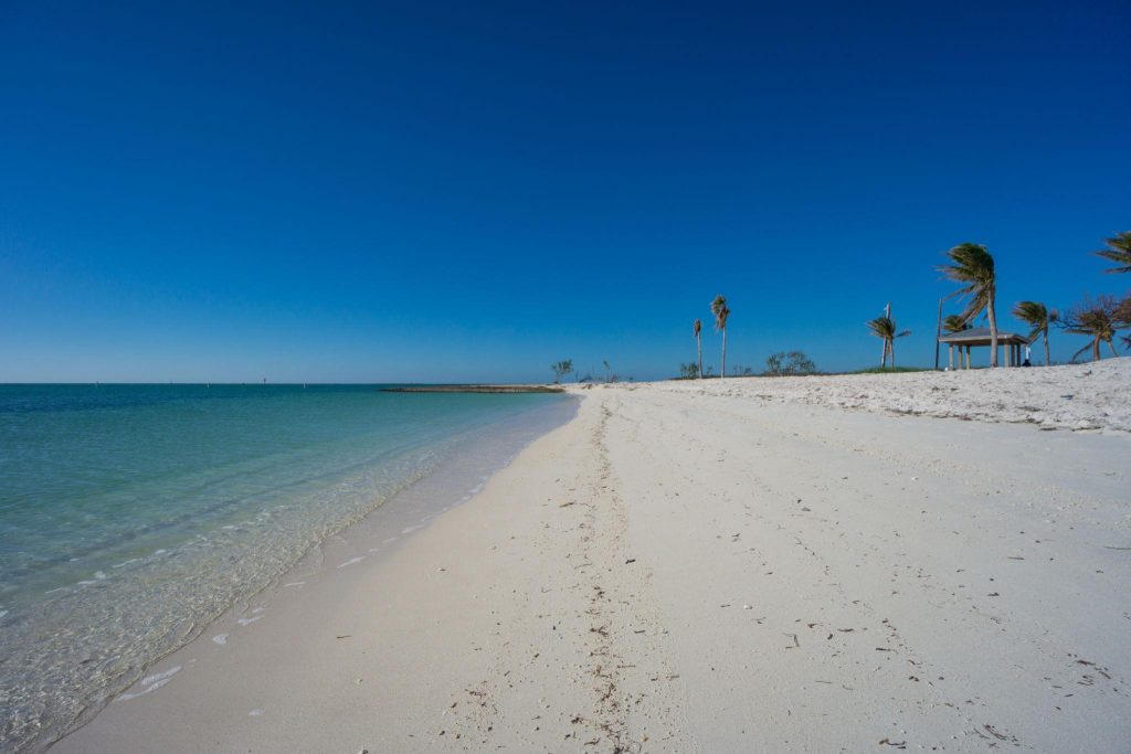 Sombrero Beach is a dog-friendly and turtle nesting beach in Marathon Florida. FloridaKeysVillas.com
