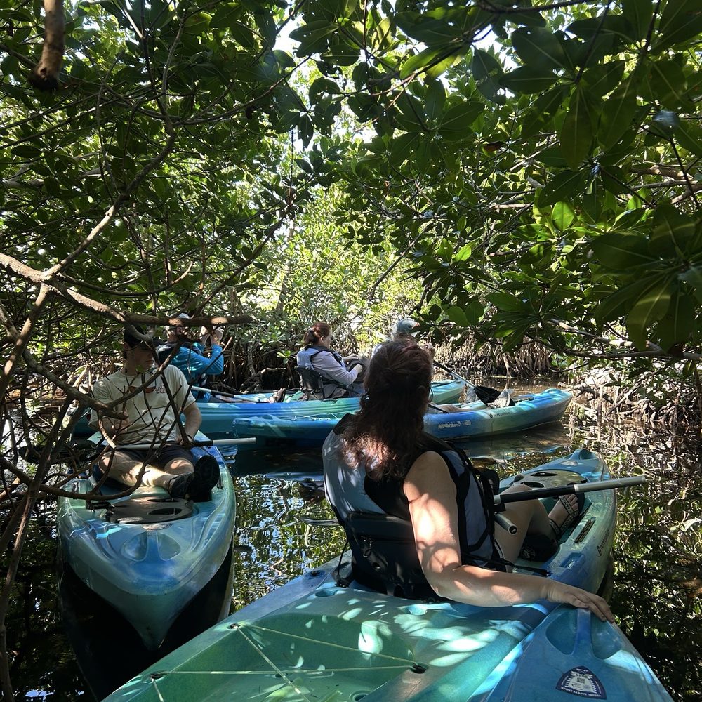 Kayaking through Key Colony Beach mangroves. Booking Direct and Save with FloridaKeysVillas.com