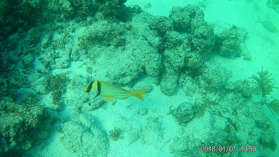 Sombrero Reef lighthouse offshore. Booking Direct and Save with FloridaKeysVillas.com